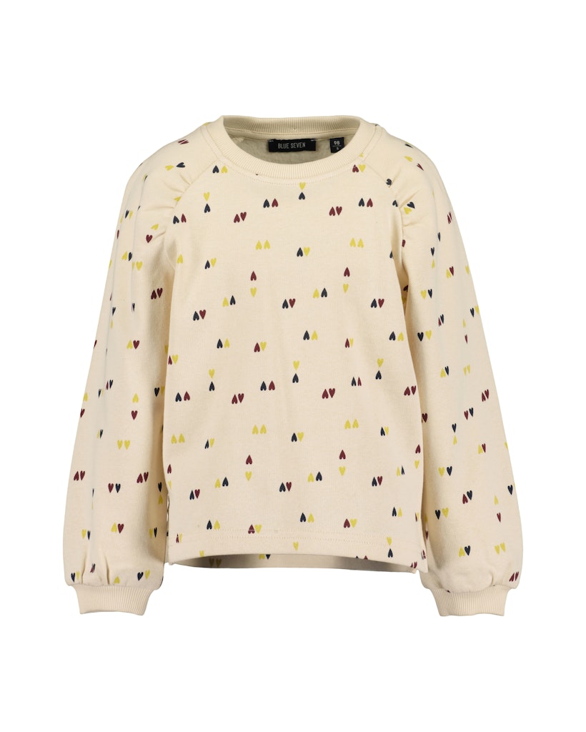  Μπλούζα Φούτερ