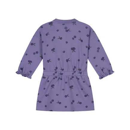BABYFACE - Babyface Φόρεμα faded plum